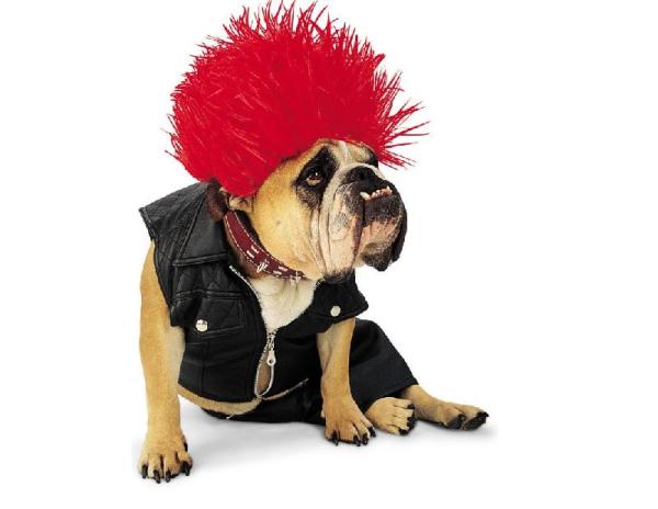 Punk-Dog-Costume