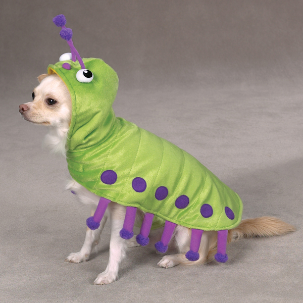 caterpillar-dog-costume