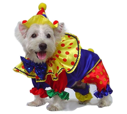 clown-dog-costumes