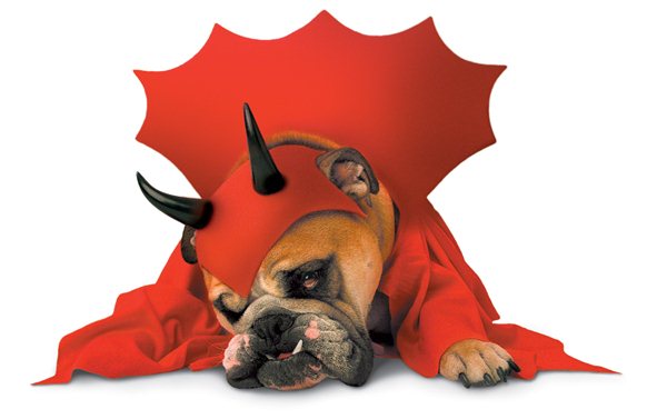 devil-dog-costume