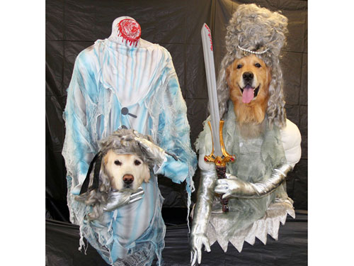 dog-halloween-costumes-3