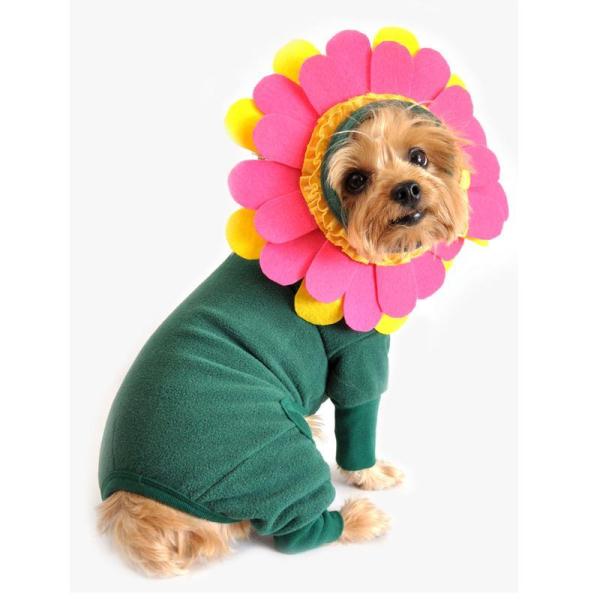 flower-dog-costume
