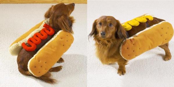 hotdog-dog-costume