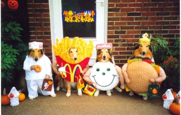 mcdonald-dog-costume