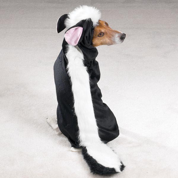 skunk-dog-costume