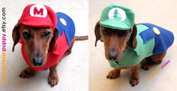 super-mario-dog-costumes
