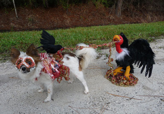 zombie-dog-costume
