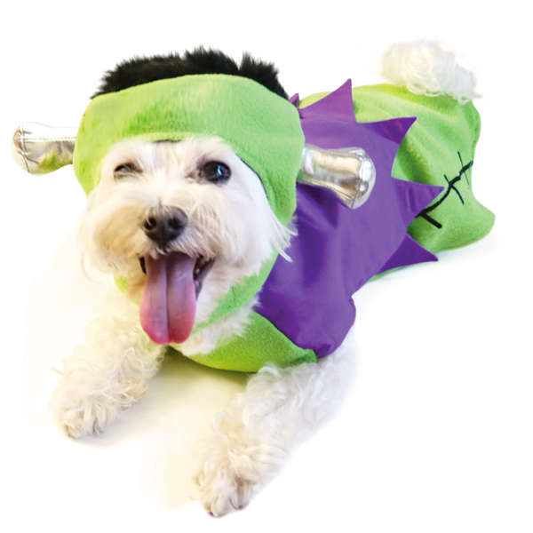 dog-halloween-costumes-6