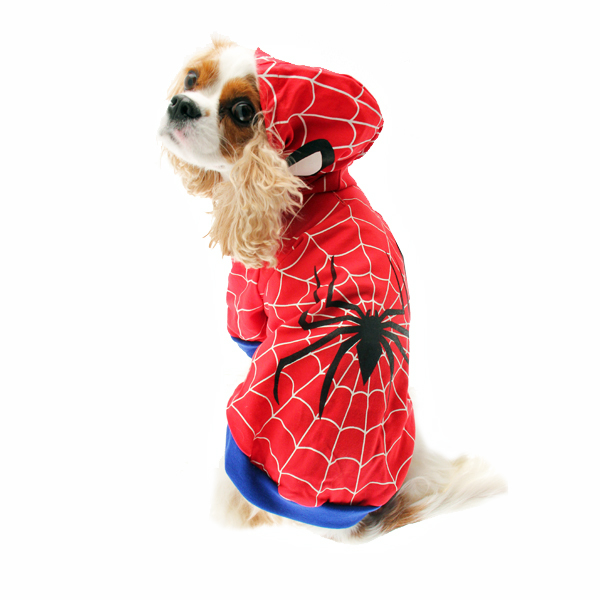 spiderman-dog-costume