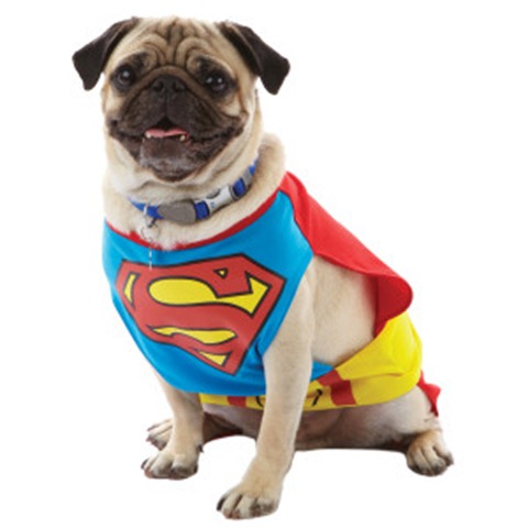 superman-dog-costume