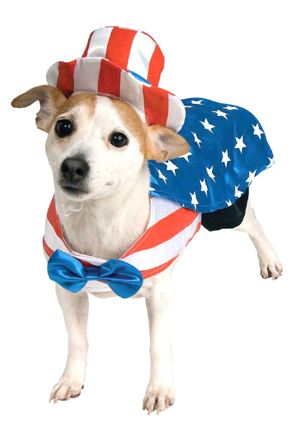 uncle-sam-dog-costume