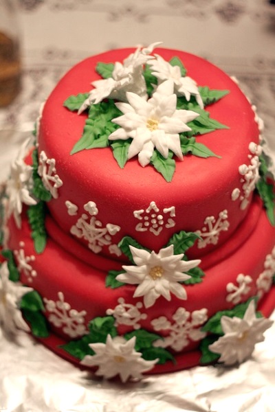 The Best Fruit Cake for Christmas