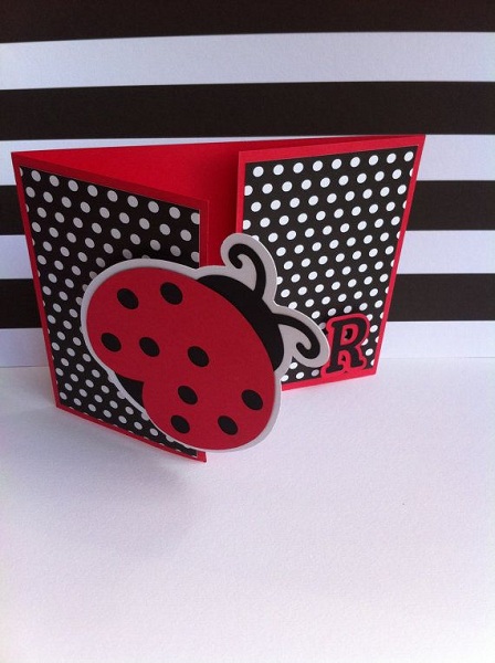 Homemade Ladybug Invitations 9