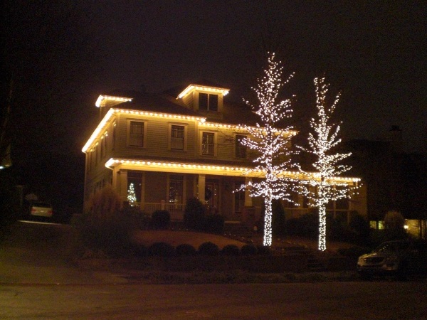 easy outdoor christmas lights