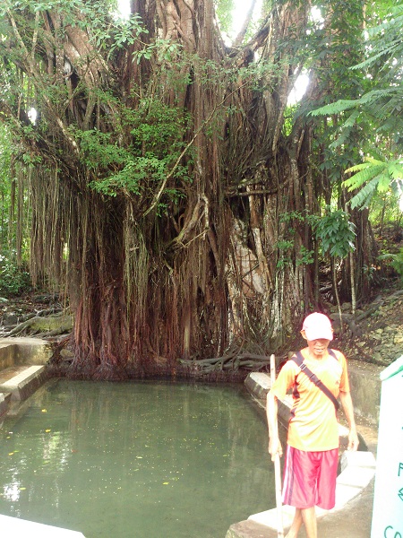 Balite-tree-siquijor-and-foot-spa-1